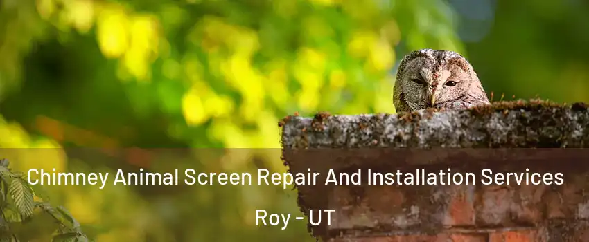  Chimney Animal Screen Repair And Installation Services Roy - UT