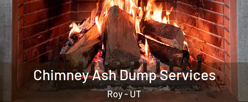  Chimney Ash Dump Services Roy - UT