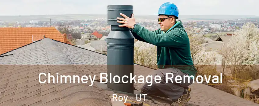  Chimney Blockage Removal Roy - UT