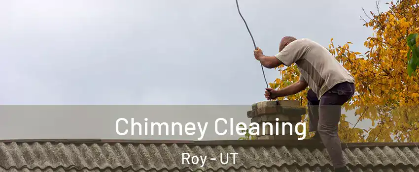  Chimney Cleaning Roy - UT