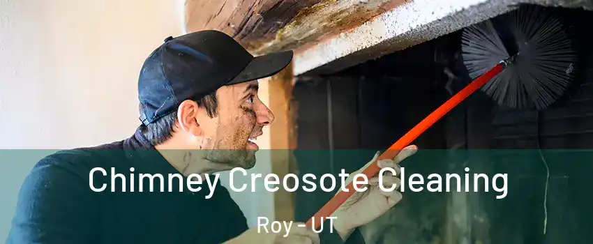  Chimney Creosote Cleaning Roy - UT