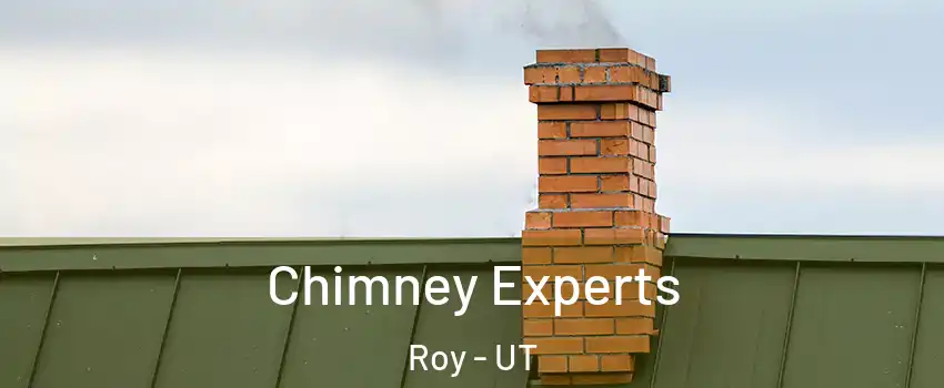 Chimney Experts Roy - UT