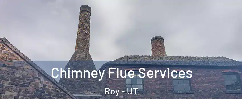  Chimney Flue Services Roy - UT