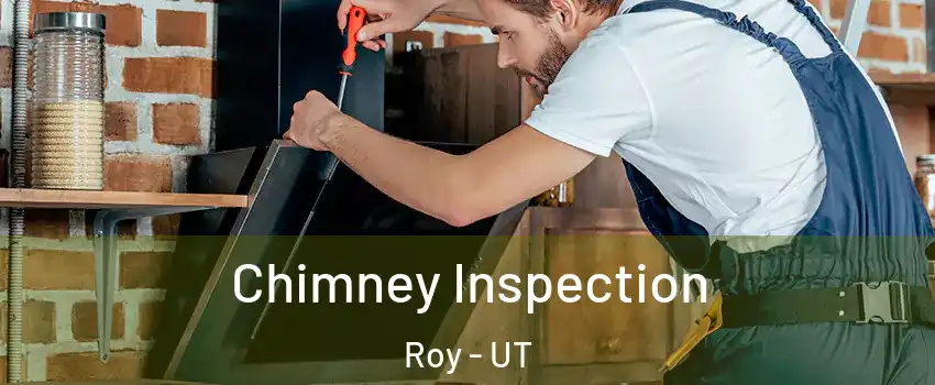  Chimney Inspection Roy - UT