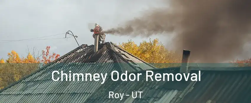  Chimney Odor Removal Roy - UT