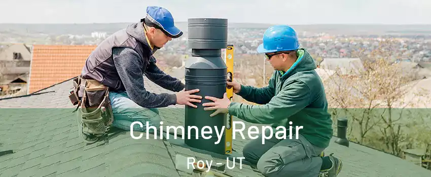  Chimney Repair Roy - UT