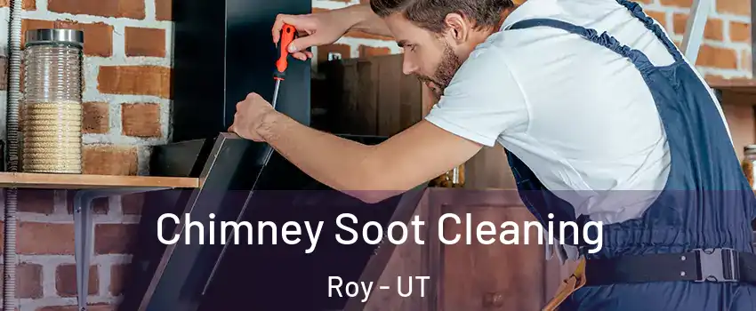  Chimney Soot Cleaning Roy - UT