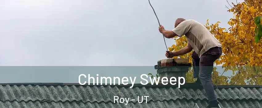  Chimney Sweep Roy - UT