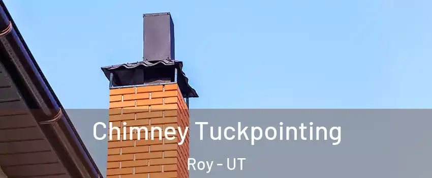  Chimney Tuckpointing Roy - UT