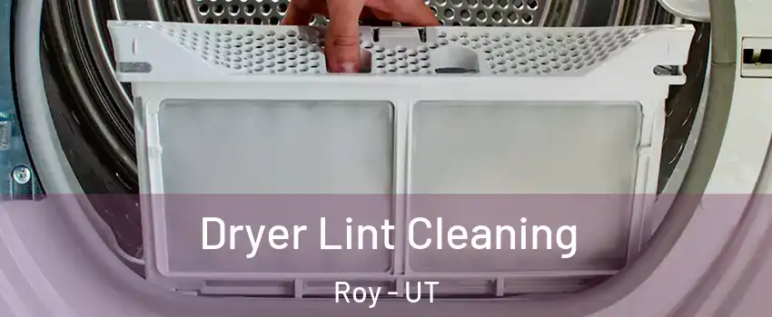  Dryer Lint Cleaning Roy - UT