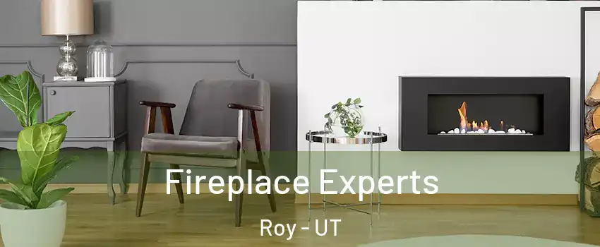  Fireplace Experts Roy - UT