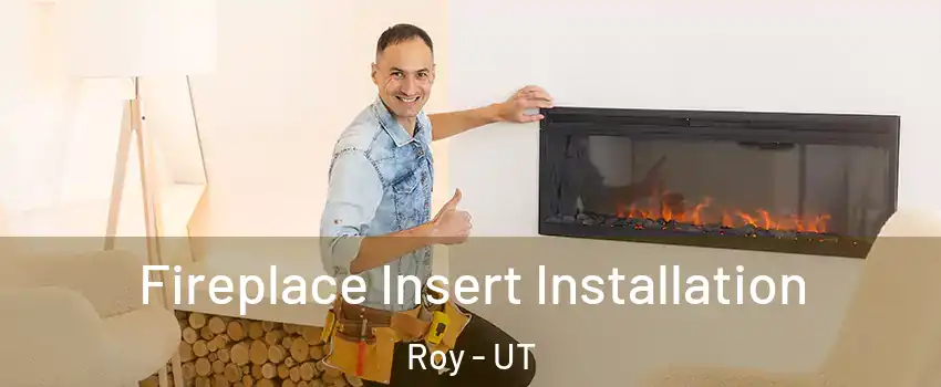  Fireplace Insert Installation Roy - UT