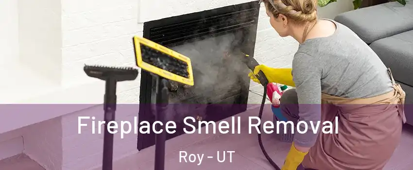  Fireplace Smell Removal Roy - UT