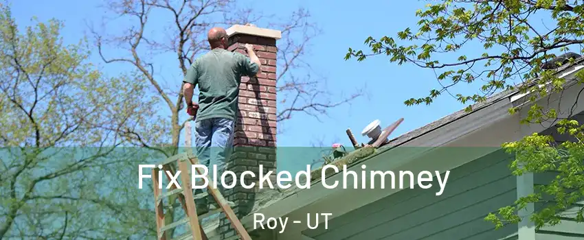  Fix Blocked Chimney Roy - UT