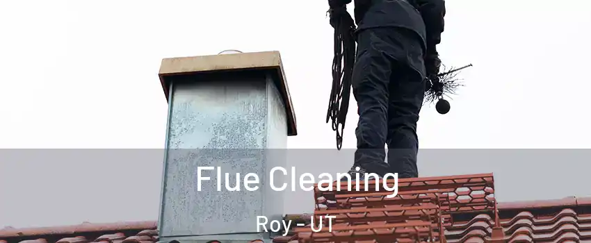  Flue Cleaning Roy - UT