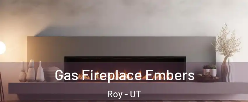  Gas Fireplace Embers Roy - UT
