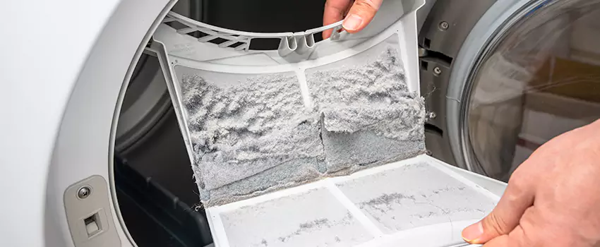 Best Dryer Lint Removal Company in Roy, Utah