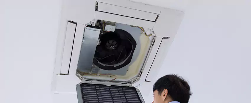 Benefits of Professional Air Duct Cleaning in Roy, Utah