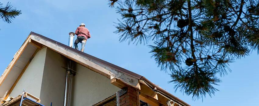 Birds Removal Contractors from Chimney in Roy, UT