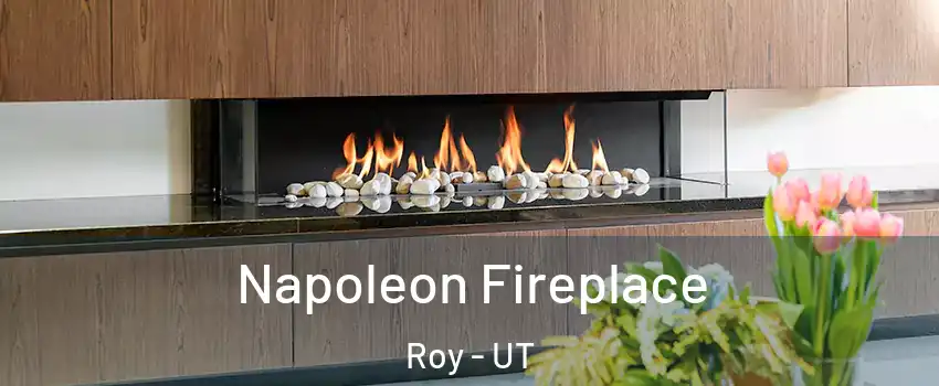  Napoleon Fireplace Roy - UT