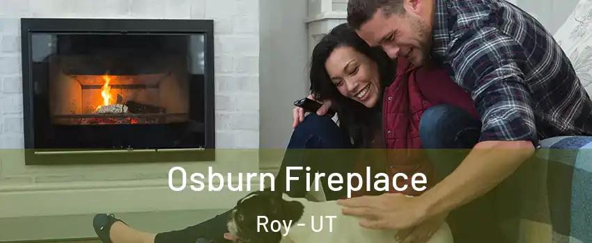  Osburn Fireplace Roy - UT