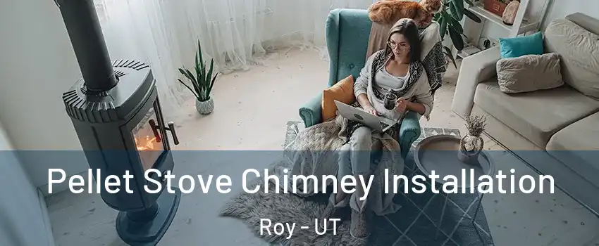  Pellet Stove Chimney Installation Roy - UT
